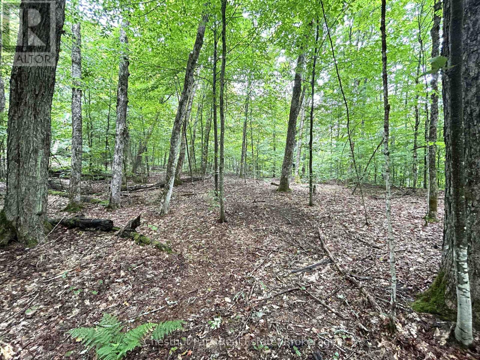 269 OLD MUSKOKA ROAD S