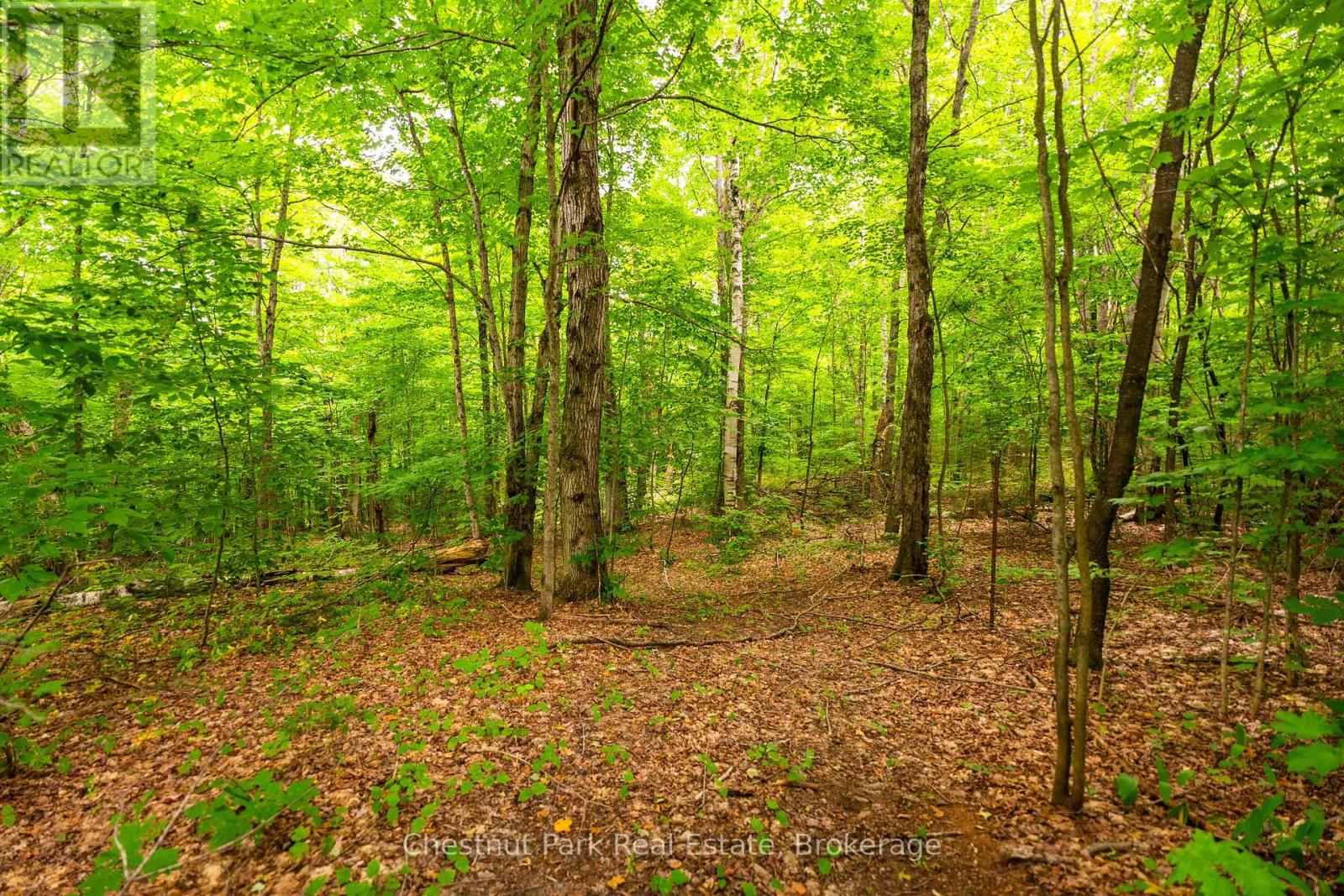 269 OLD MUSKOKA ROAD S