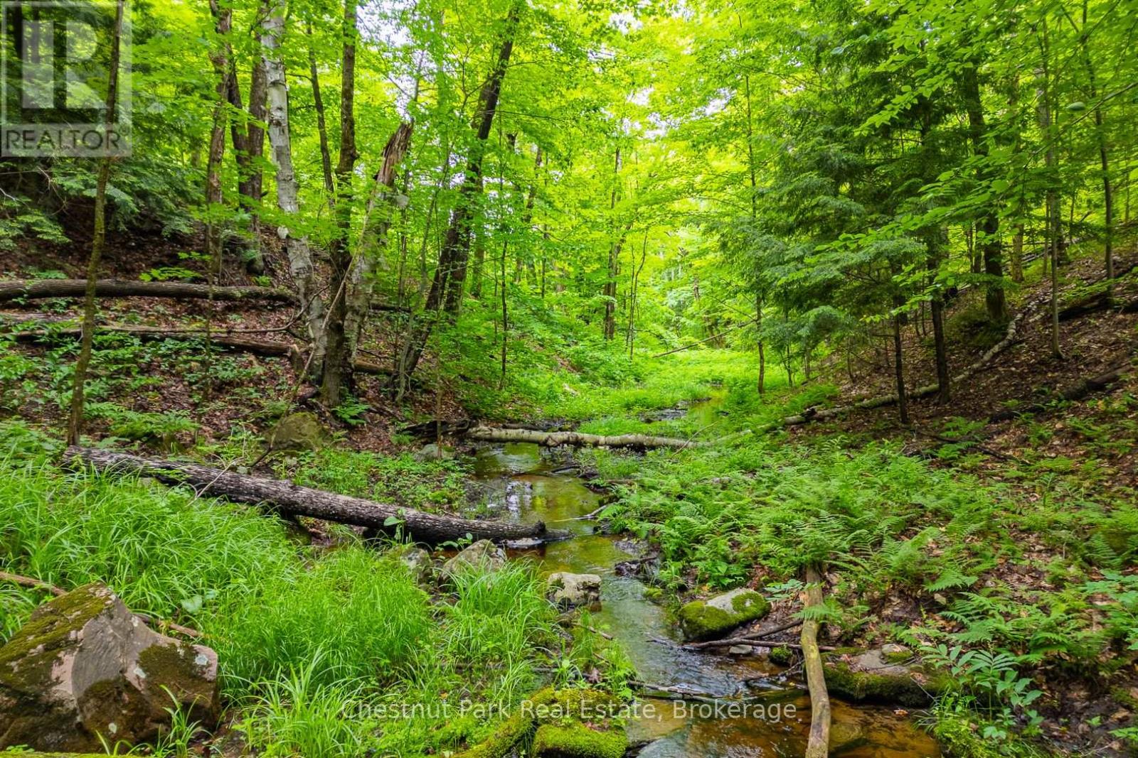 1037 SKELETON LAKE 3 ROAD