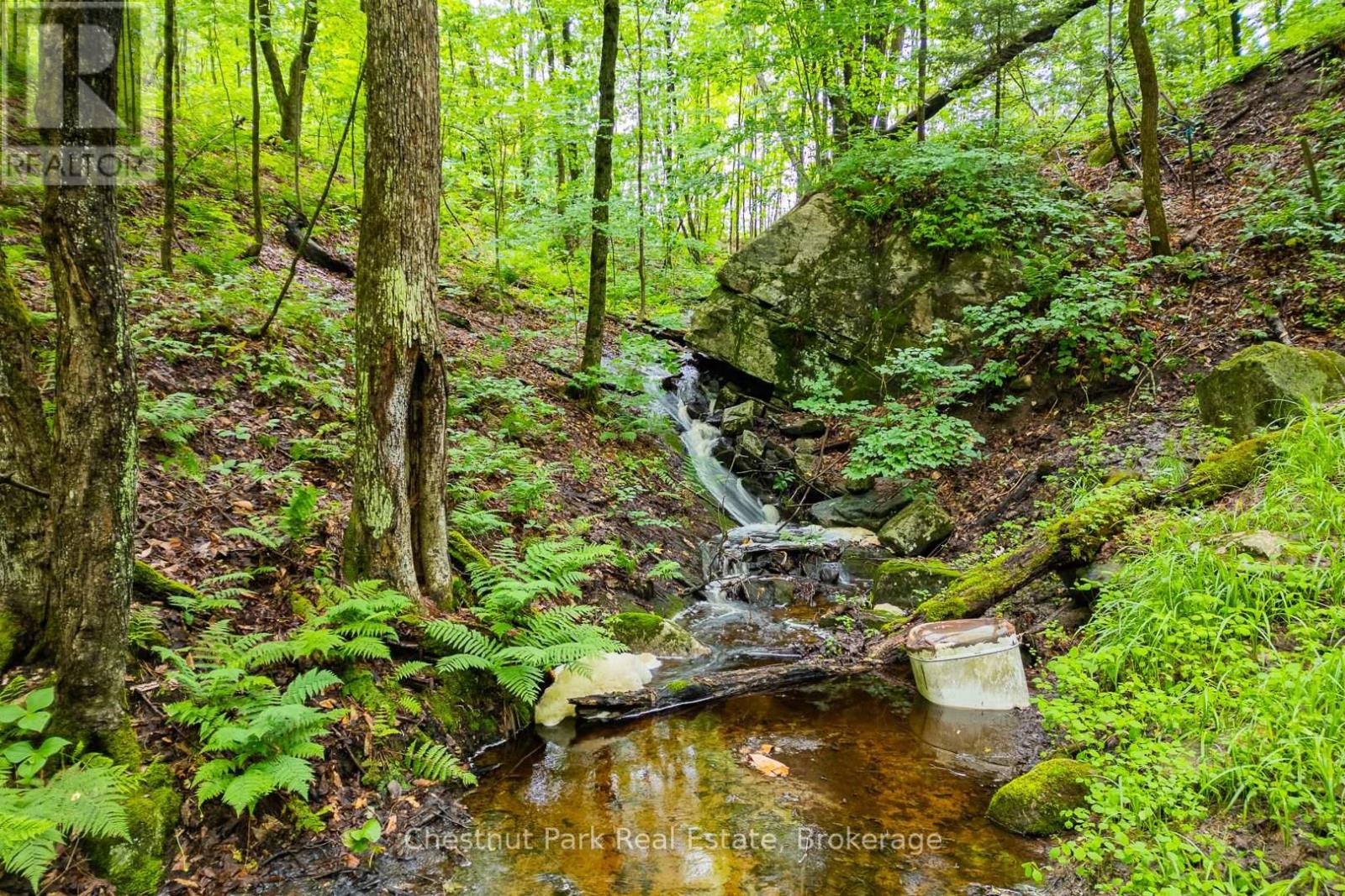 1037 SKELETON LAKE 3 ROAD