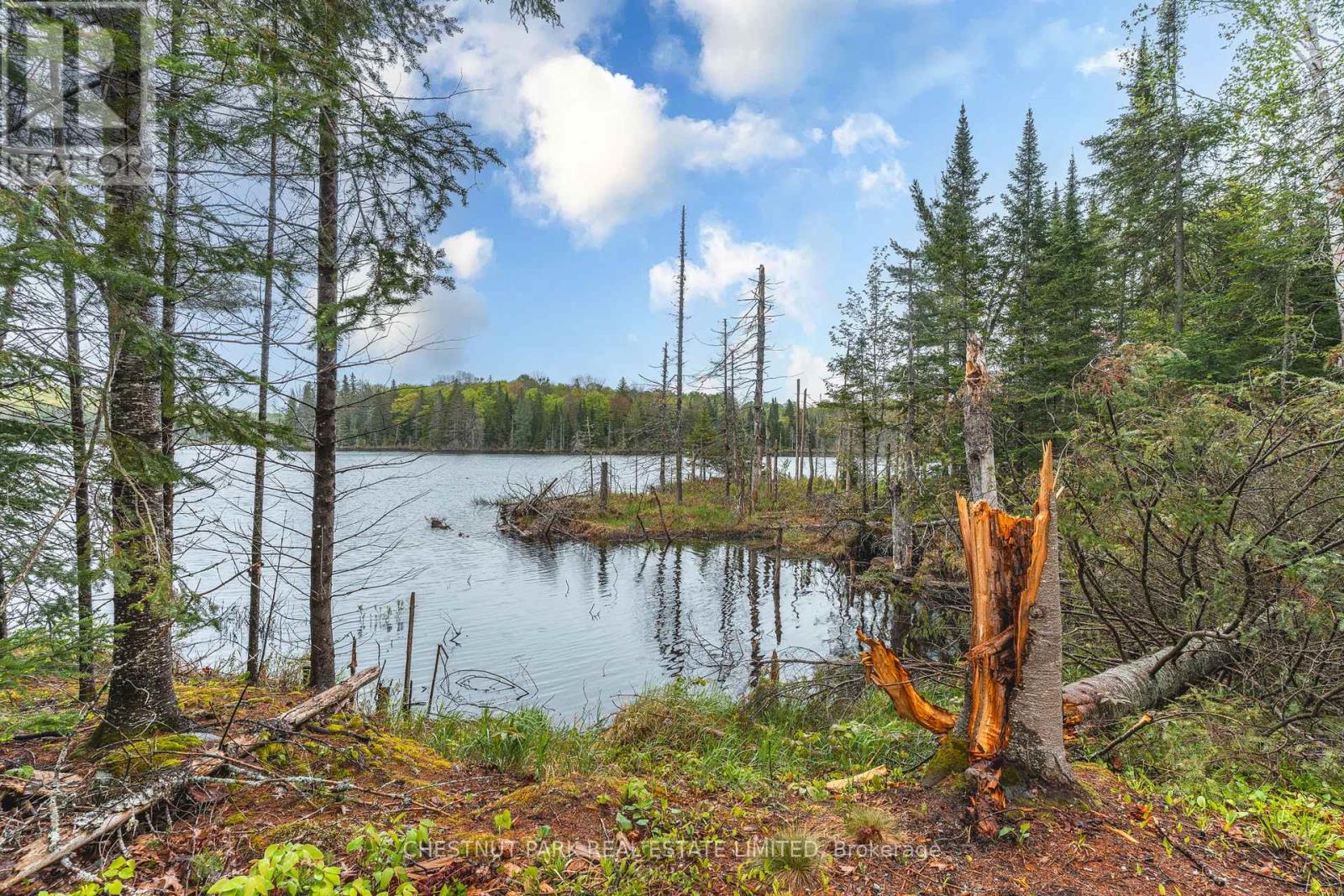 2411 SOYERS LAKE ROAD N