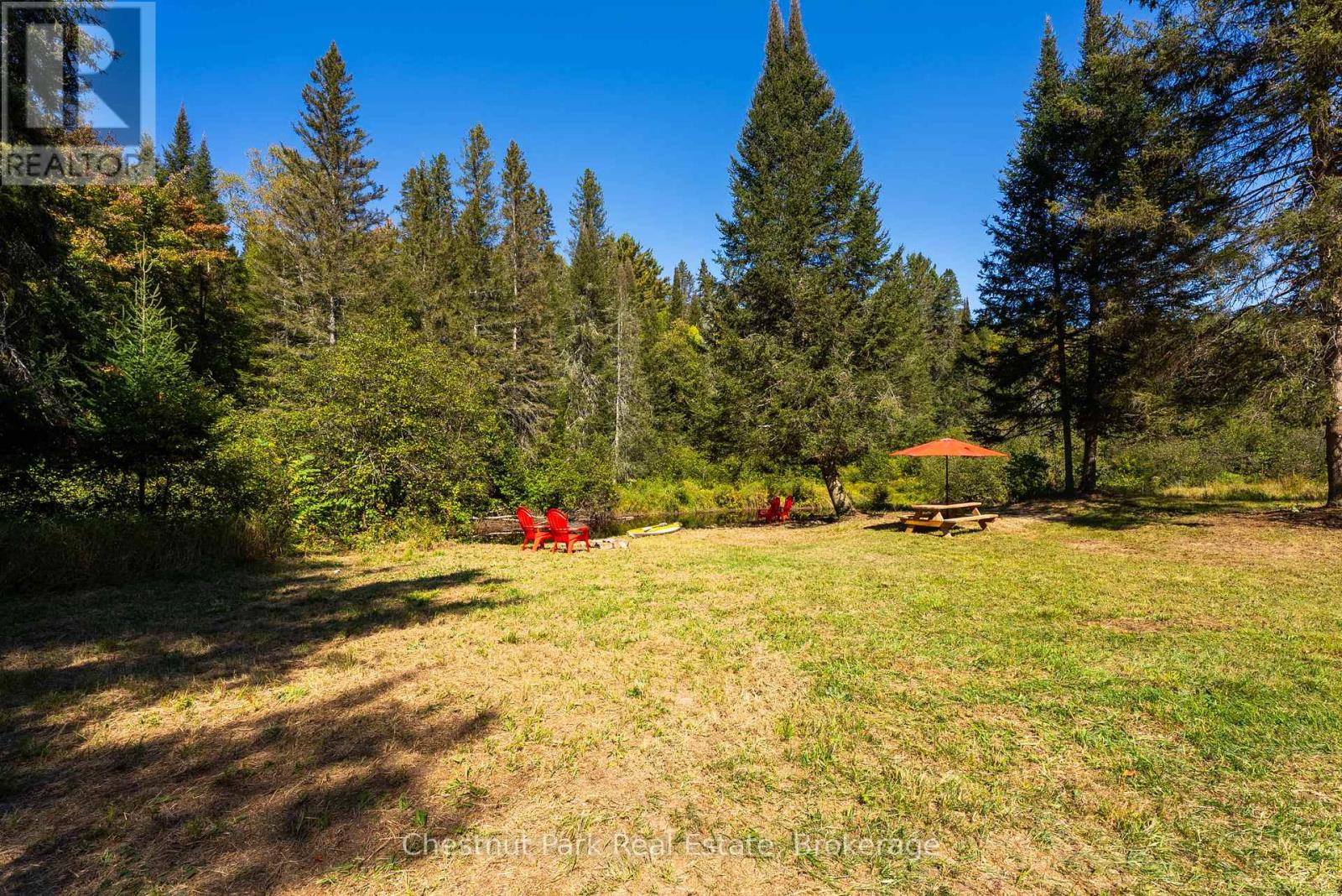 Wooded property clearing with red Adirondack chairs and a picnic table under an orange umbrella.