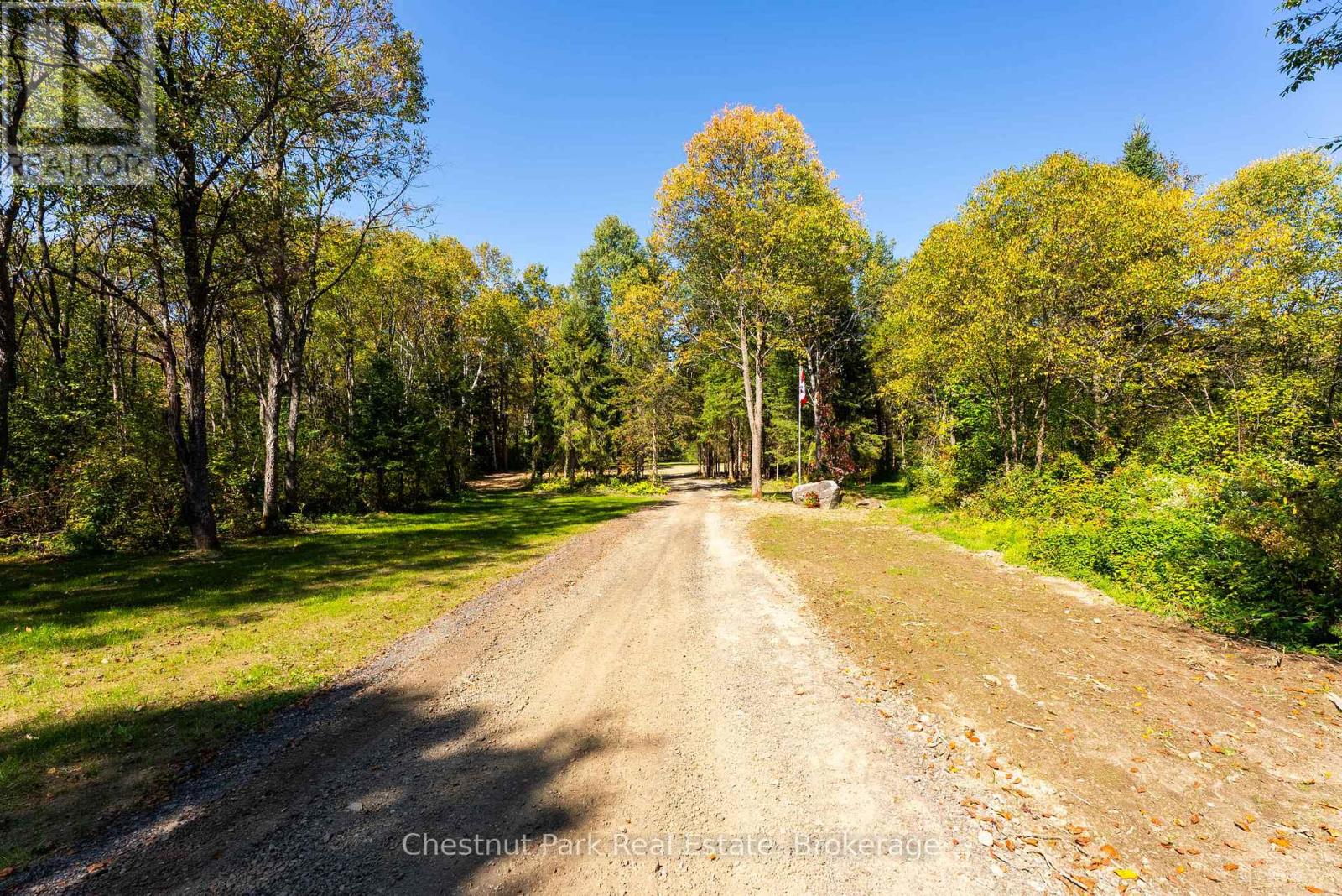 Gravel driveway entering a wooded autumn property, with a Canadian flag beside the drive.