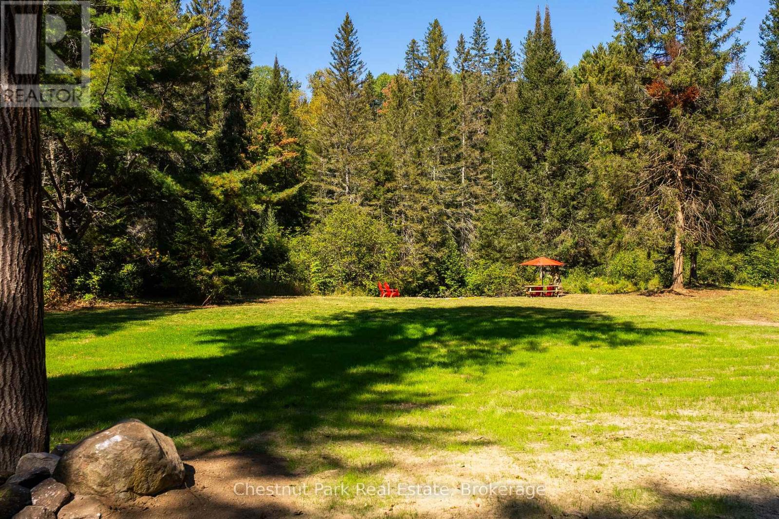 Wooded property with a broad grassy clearing, red chairs, and a picnic table beneath an orange umbrella.