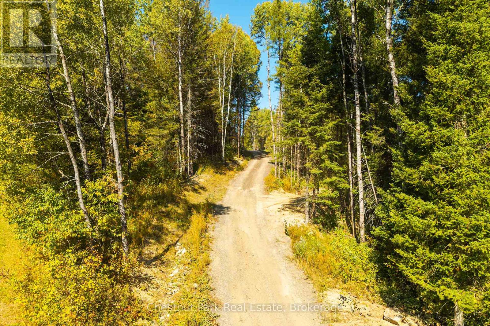 Gravel road winding through autumn woods beneath a clear blue sky.