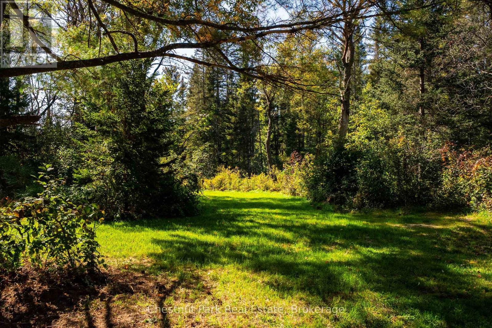 Wooded property with a sunlit grassy clearing beneath mature trees.