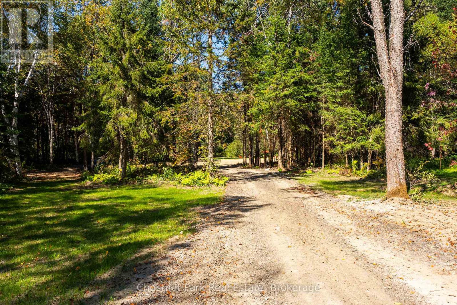 Gravel driveway winding through a wooded lot with grassy clearings and mature trees.