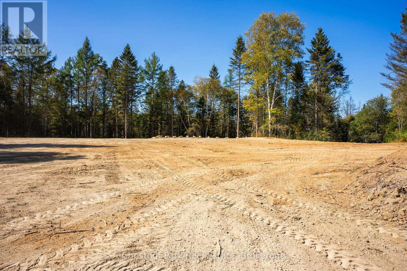 Cleared, graded lot bordered by mixed woodland beneath a clear blue sky.