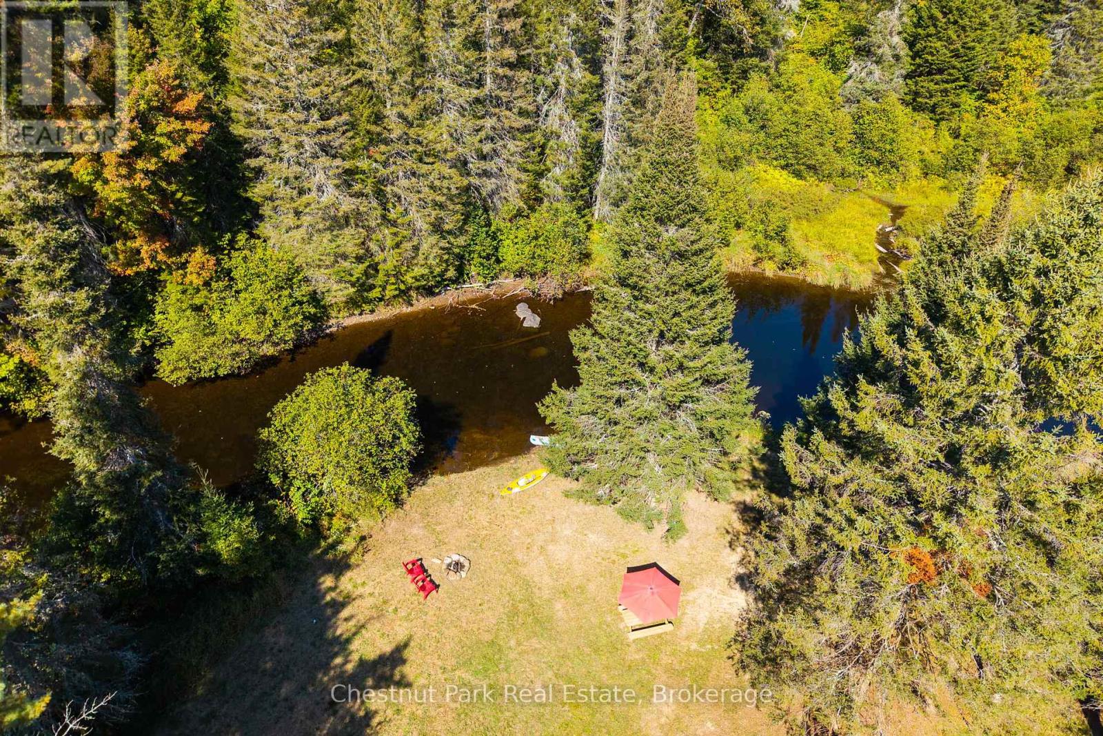 Aerial view of a wooded waterfront clearing beside a winding waterway, with kayaks, chairs, and a patio umbrella.