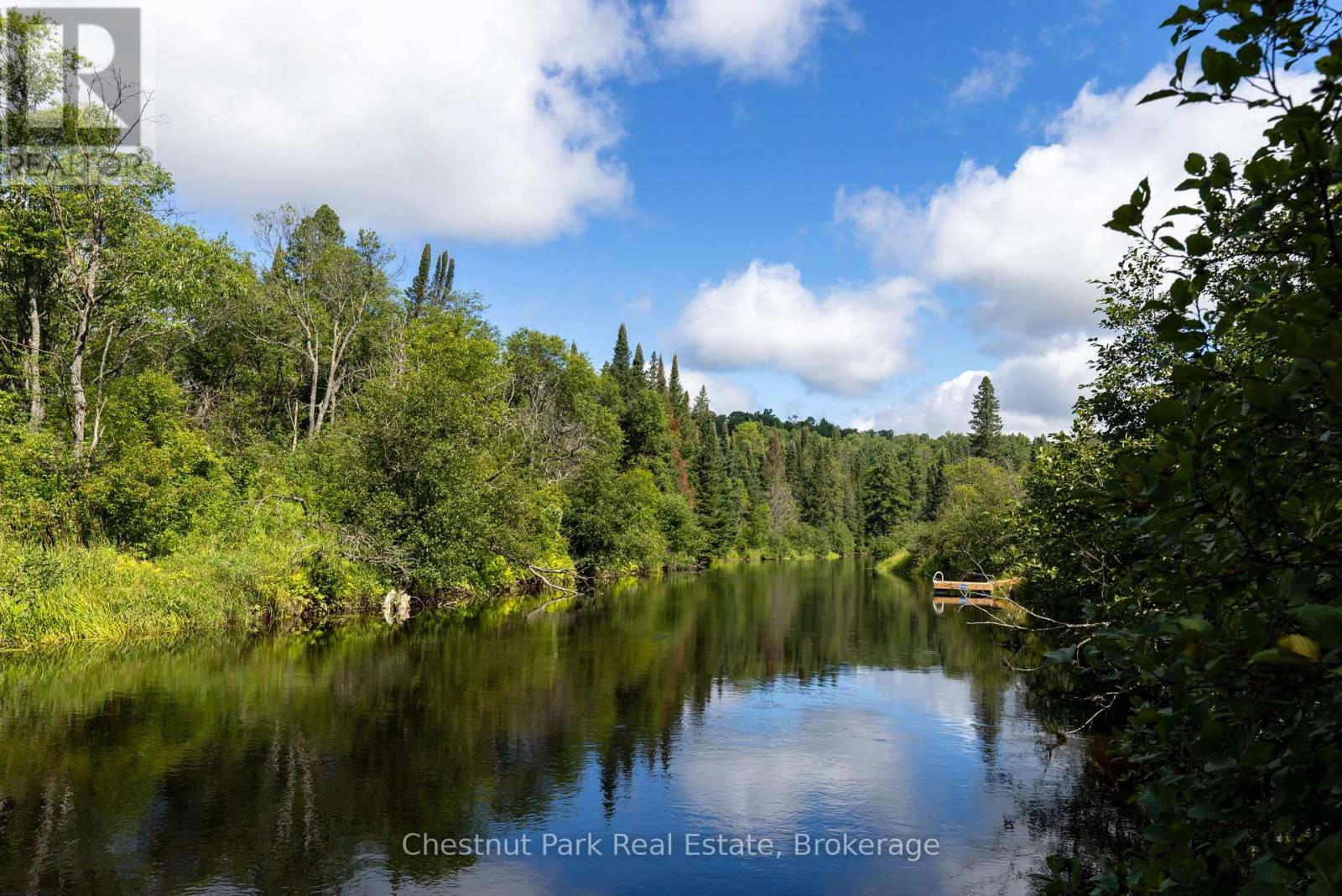 Wooded waterfront with a small dock and calm water reflecting the surrounding trees.