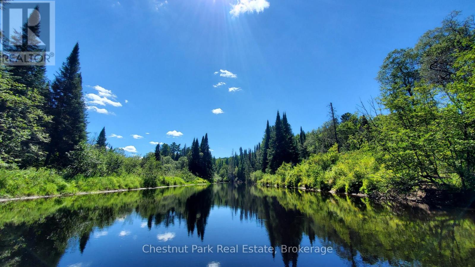 Tree-lined waterway reflecting evergreens beneath a bright blue sky.