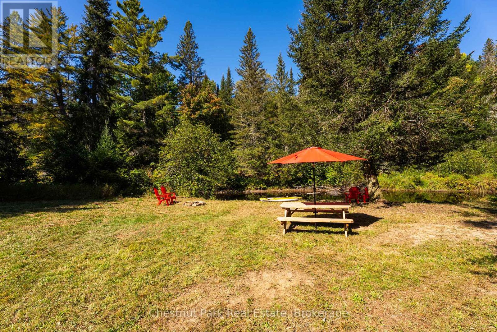 Wooded clearing with a picnic table beneath an orange umbrella and red Adirondack chairs.
