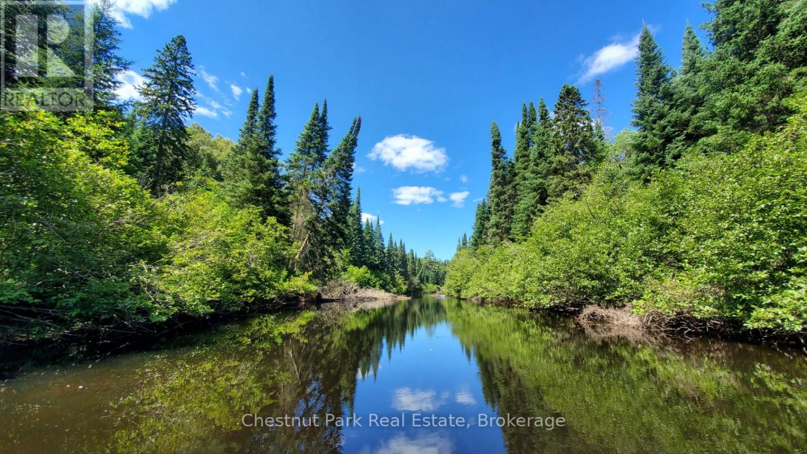 A forest-lined stream reflects evergreen trees and blue sky.