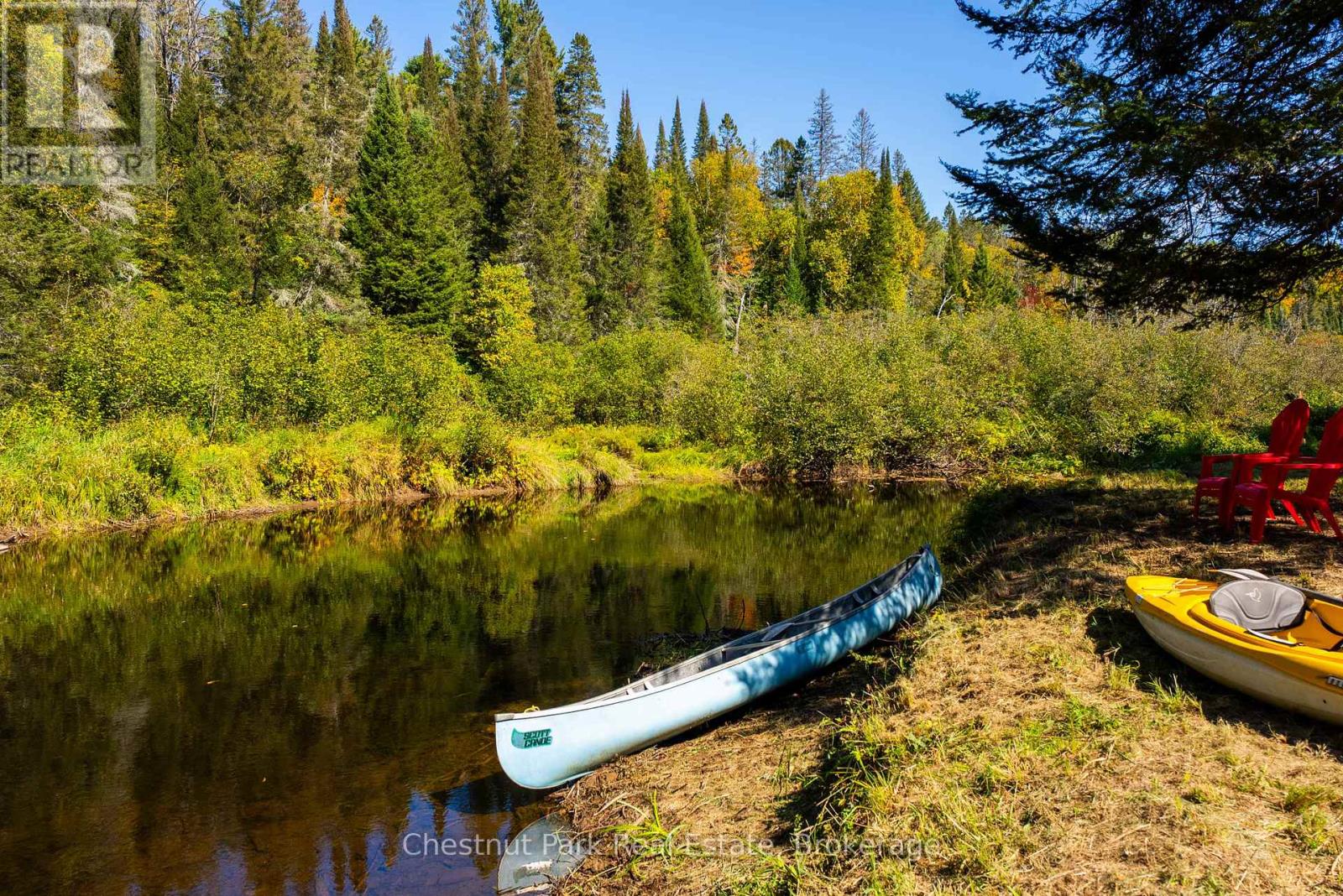 Wooded waterfront shoreline with a canoe, yellow kayak, and red chairs beside calm water.