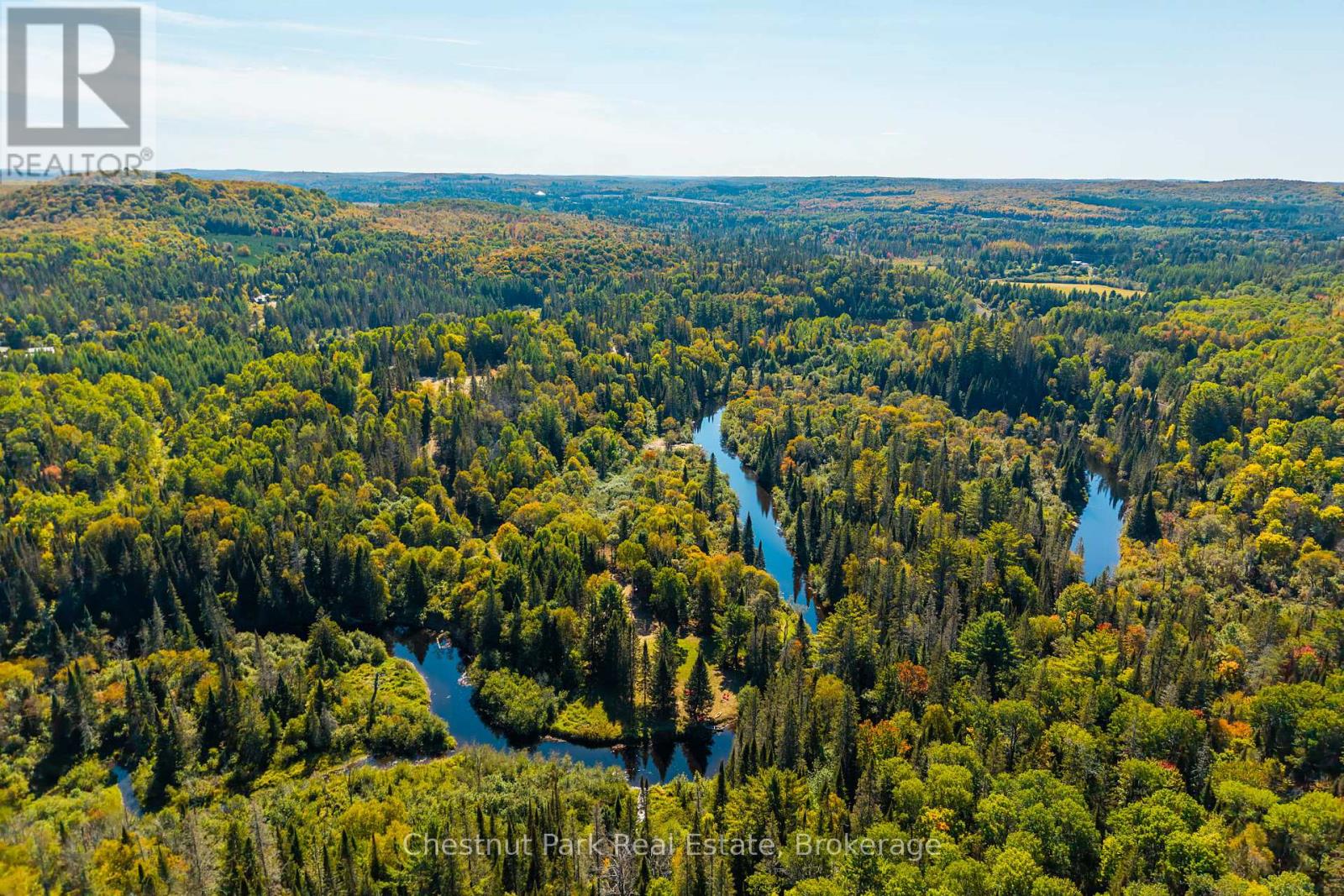 Aerial view of autumn forest with winding waterways through the trees.