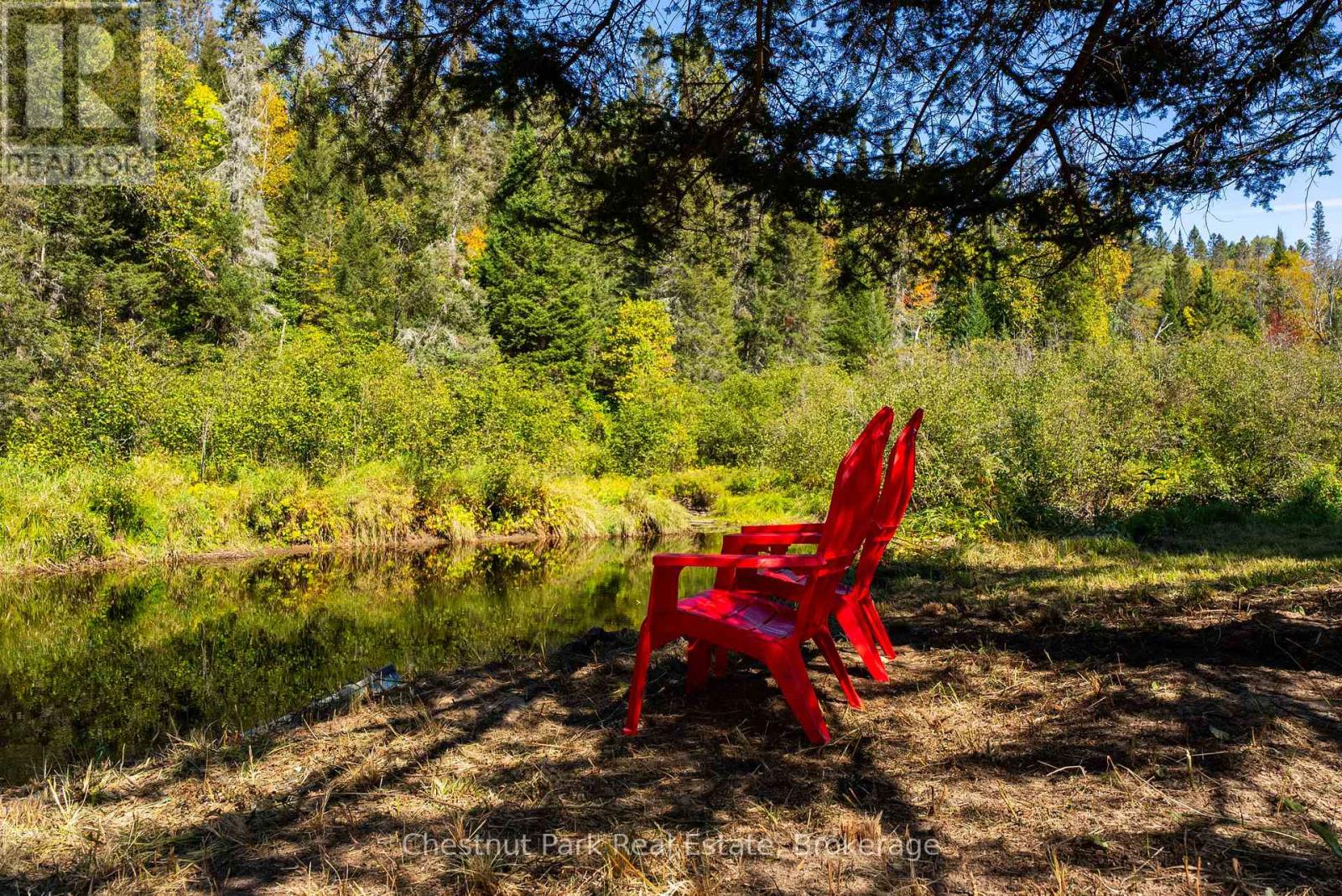 Wooded pondside property with two red Adirondack chairs beside reflective water.
