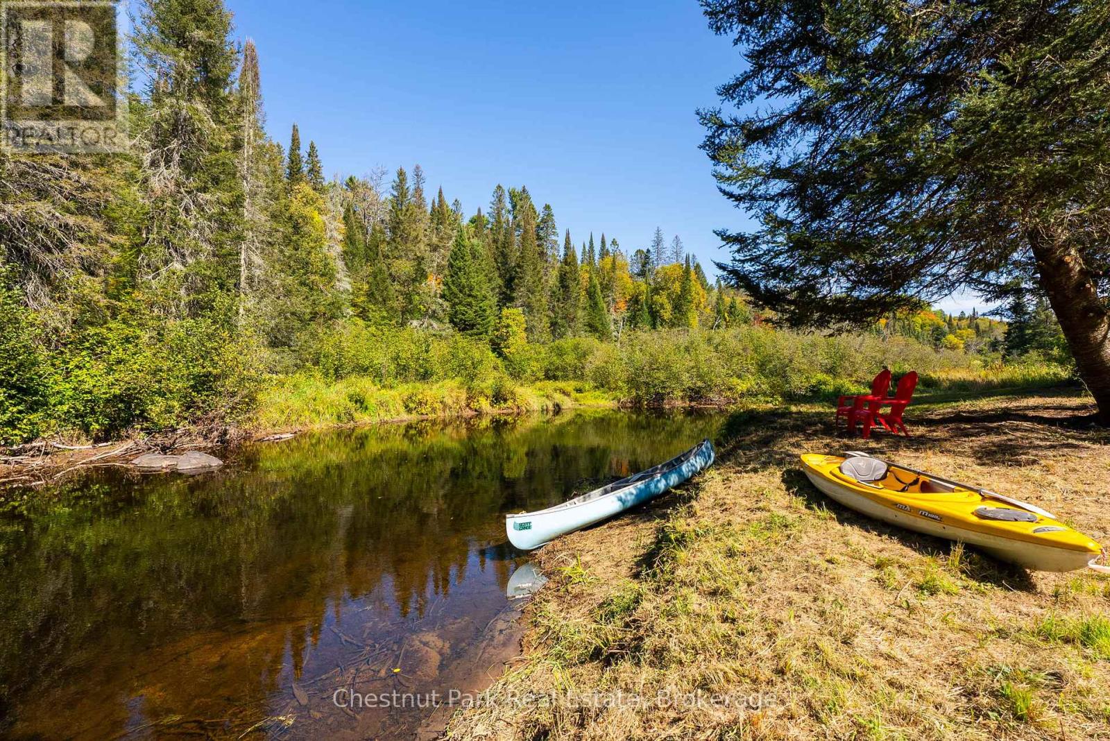 Wooded waterfront pond with two kayaks and red Adirondack chairs on the shore.