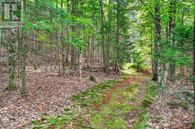 1039 SOUTH WASEOSA LAKE ROAD