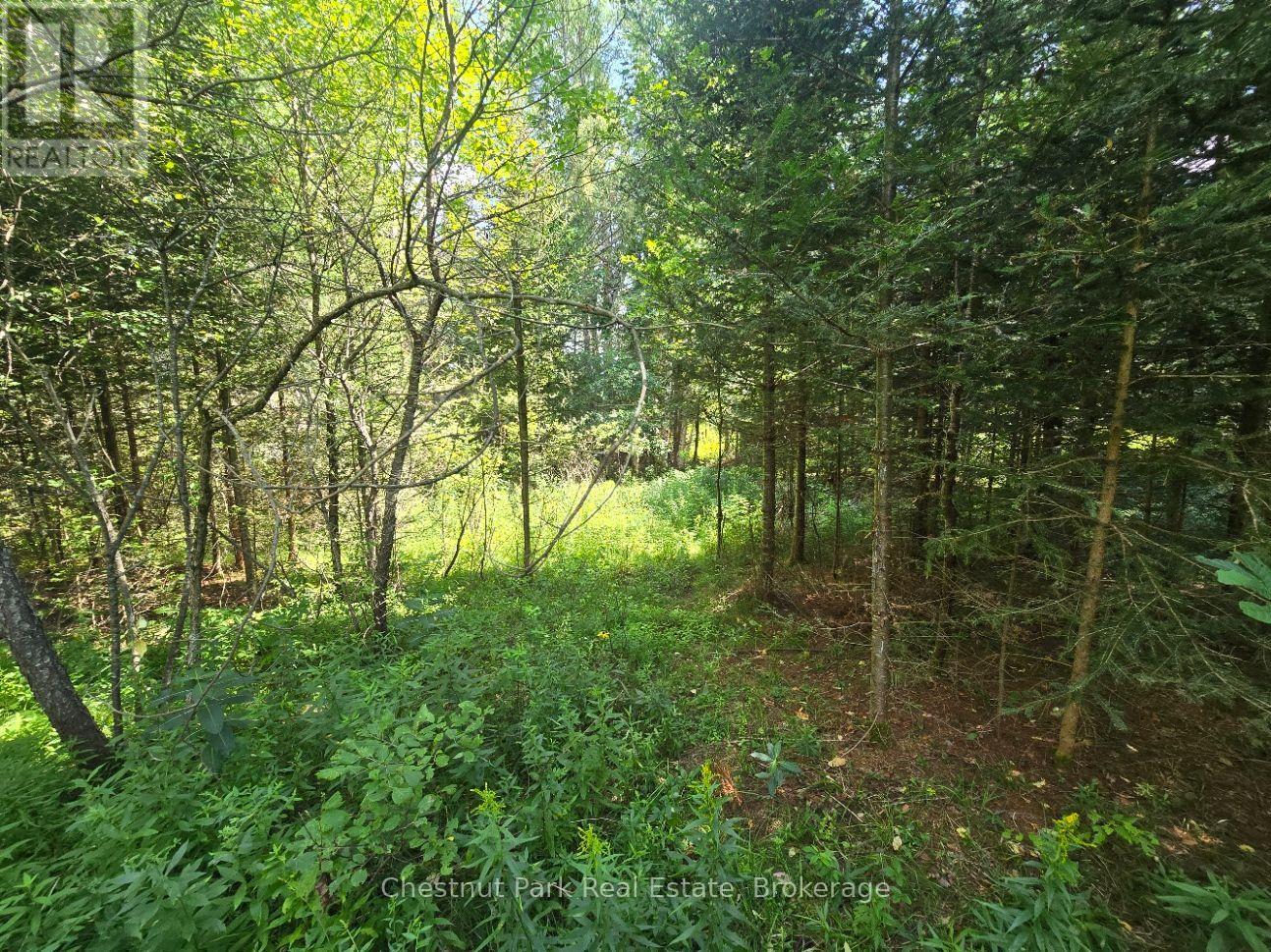 00 GIBBONS ROAD