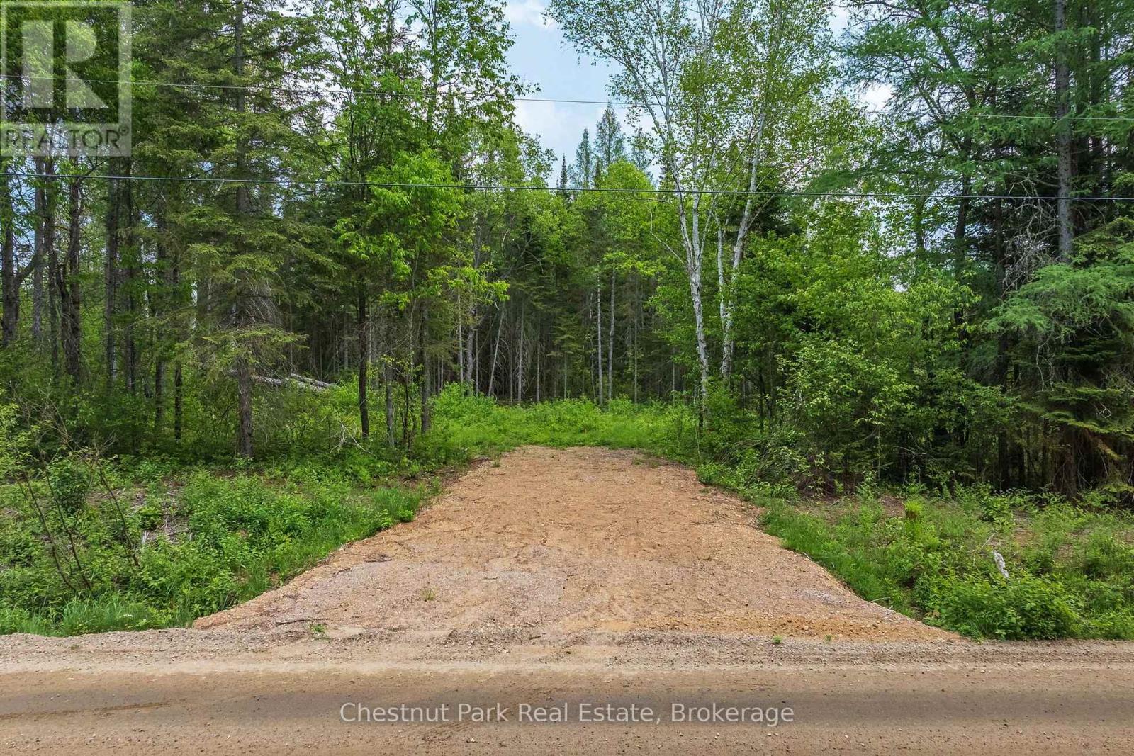 Wooded vacant property with a gravel entrance leading from the road into a green clearing.