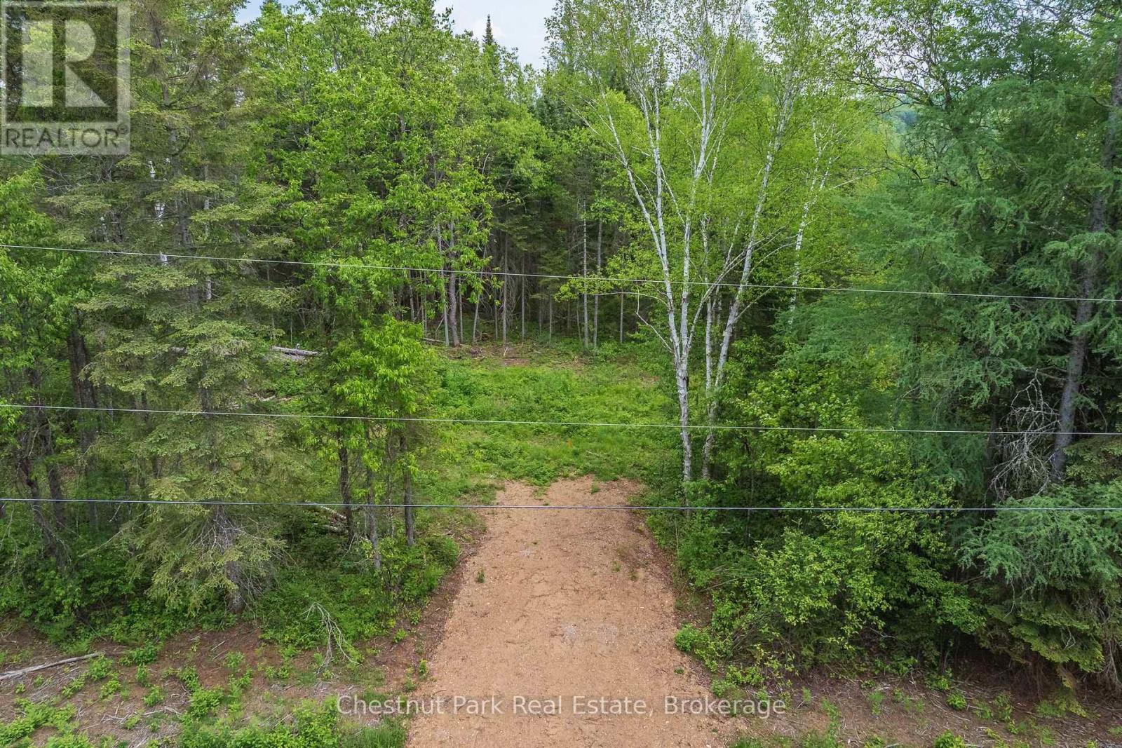 Wooded vacant lot with a dirt driveway leading into a clearing beneath overhead utility wires.