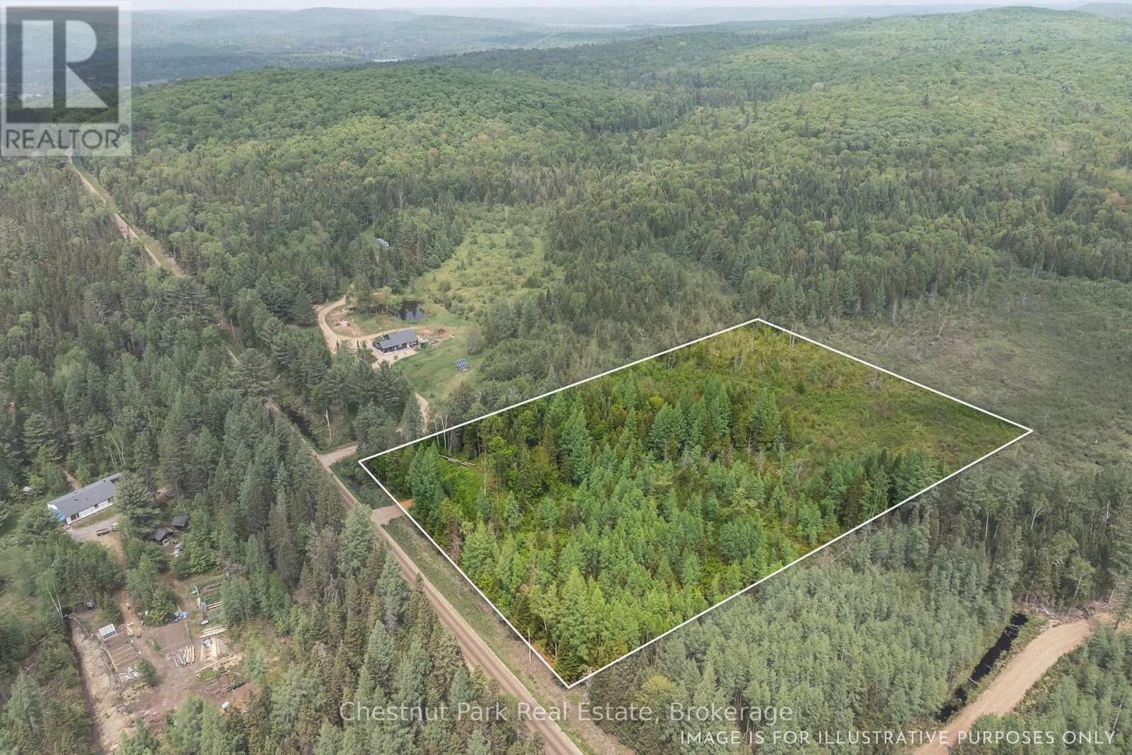 Aerial view of a forested parcel outlined in white beside a rural road, with distant hills beyond.