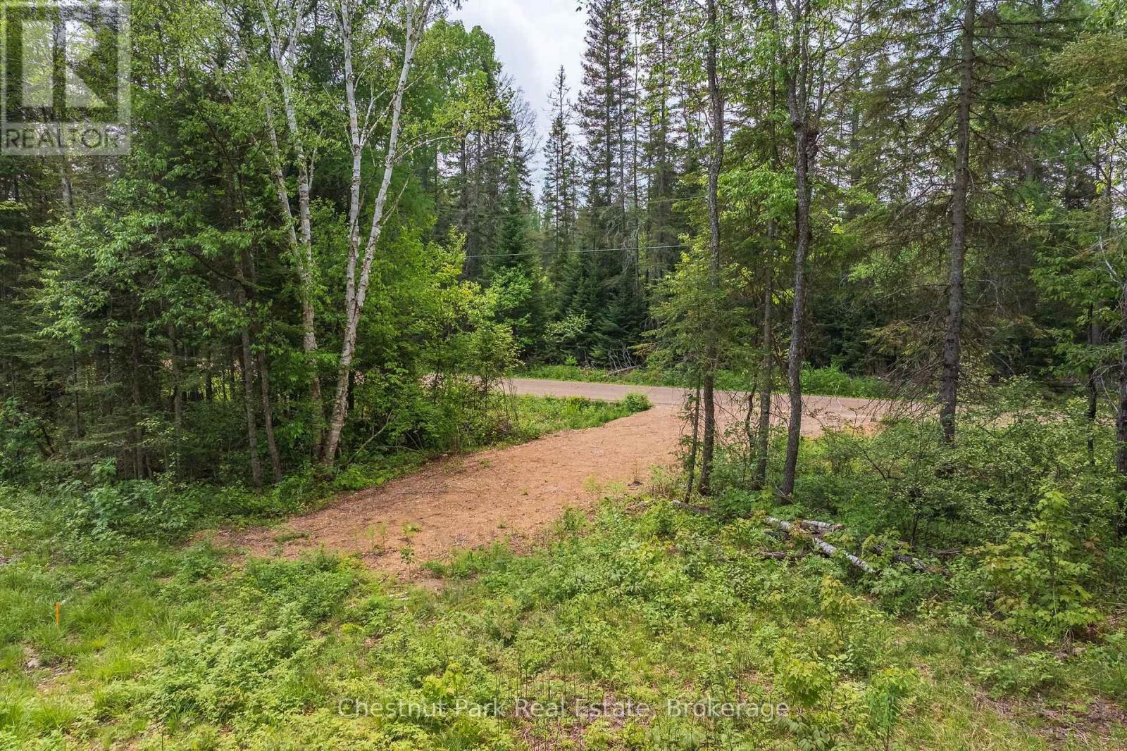 Wooded vacant lot with a dirt entrance meeting a road.