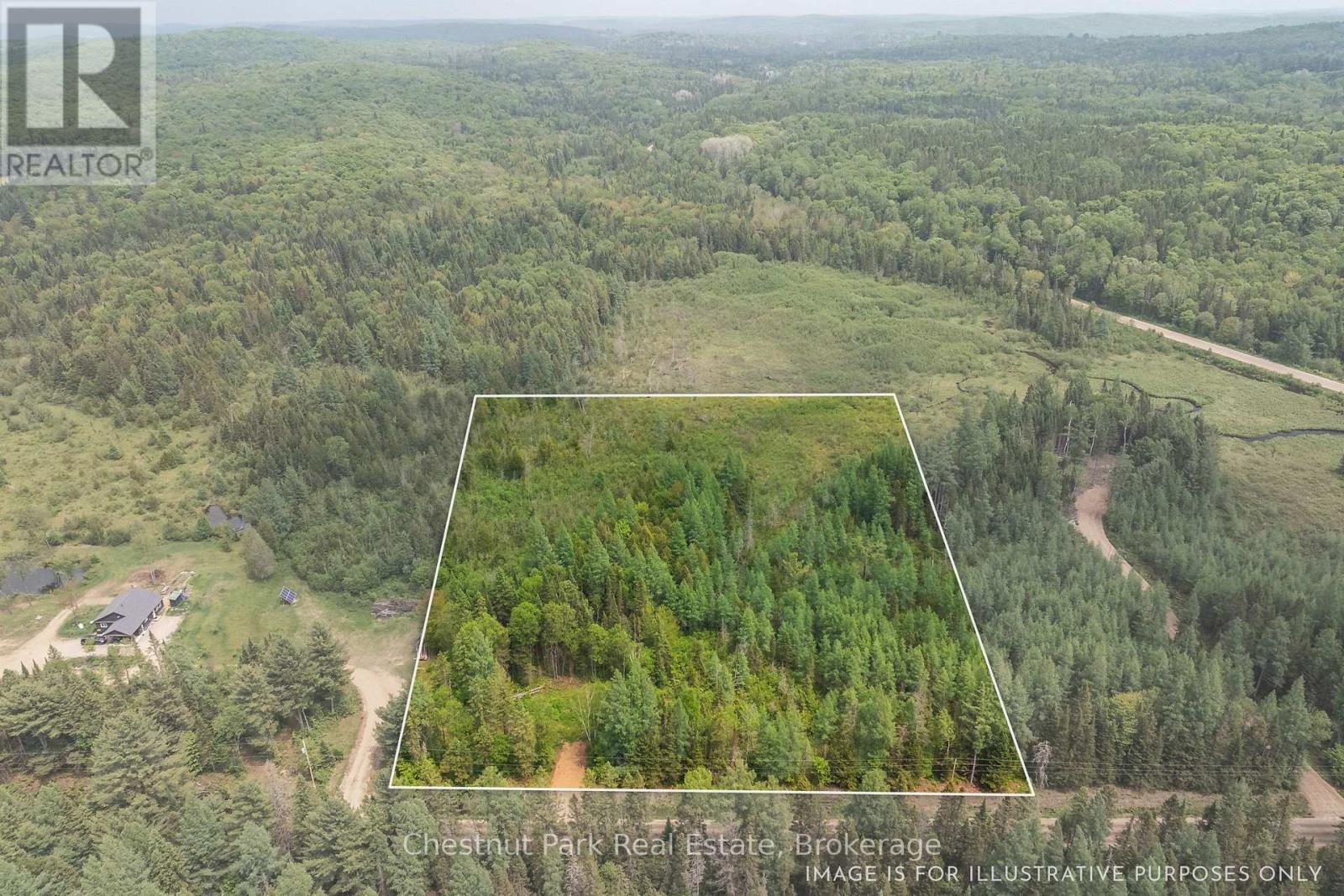 Aerial view of a wooded parcel outlined in white beside a rural road.