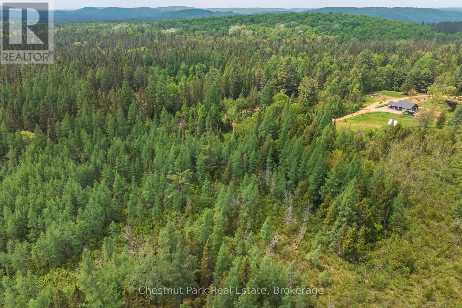 Aerial view of forested land with a small building and clearing beside a winding driveway.