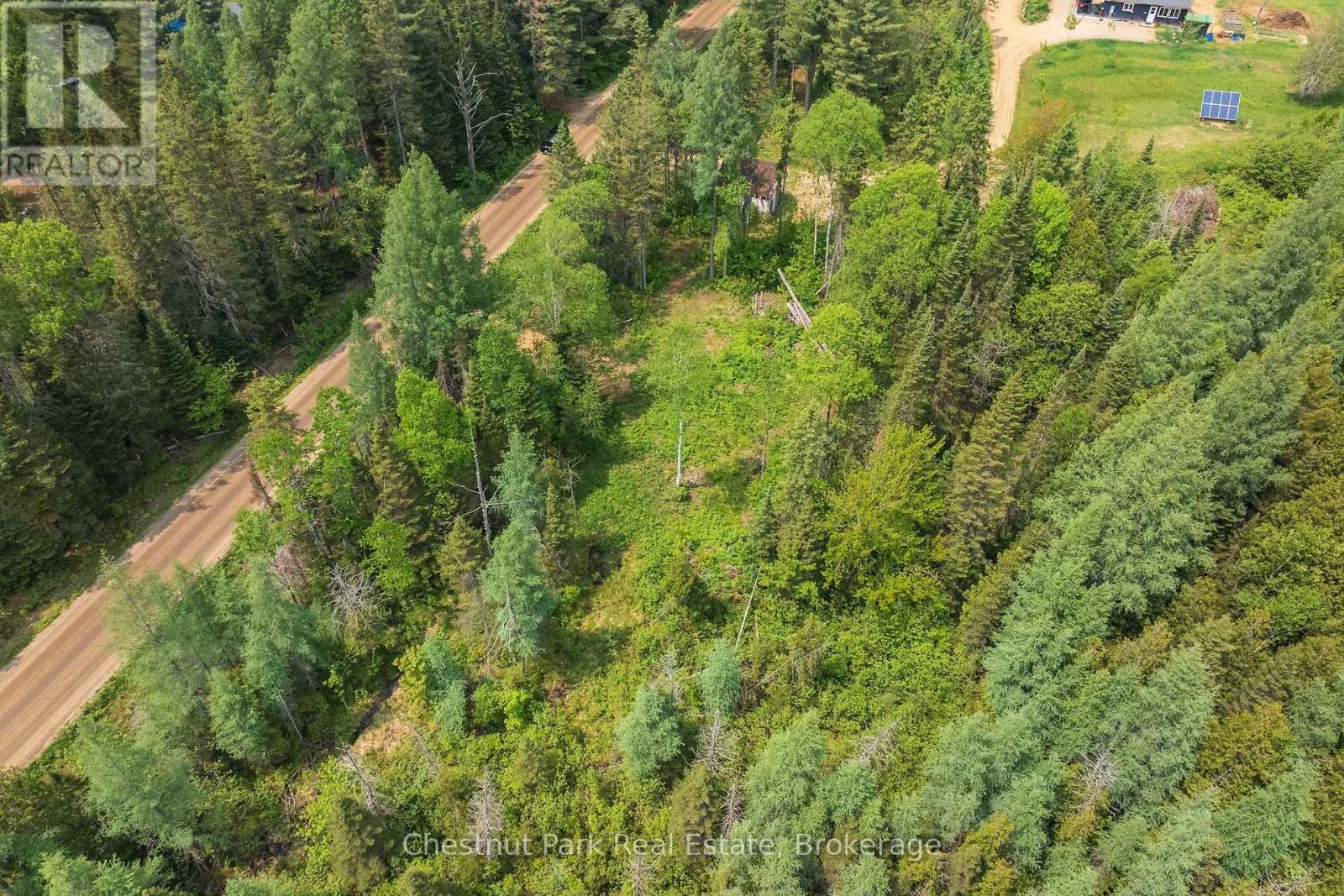 Aerial view of wooded vacant land beside a dirt road, with a small clearing.