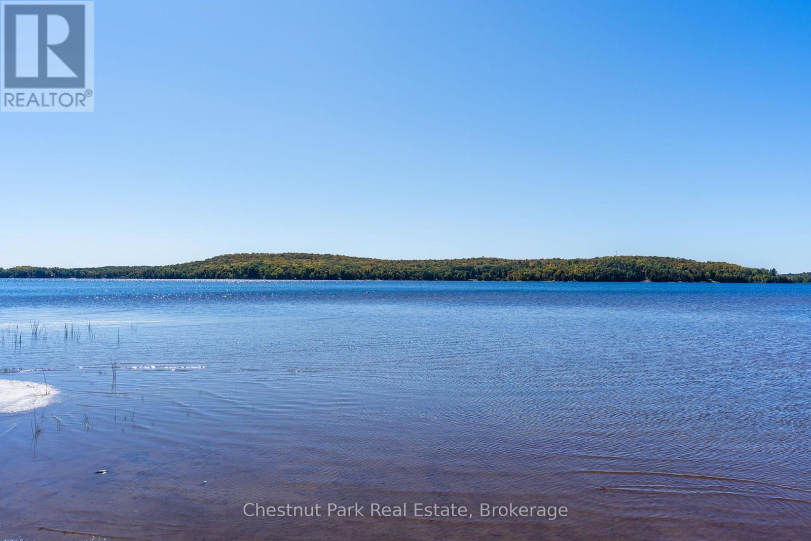 Blue lake with shallow shoreline water and reeds, looking toward a wooded shore.