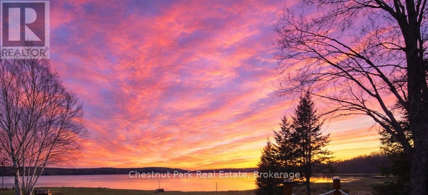 Lake view at sunset, with vivid pink and orange clouds and silhouetted trees along the shore.