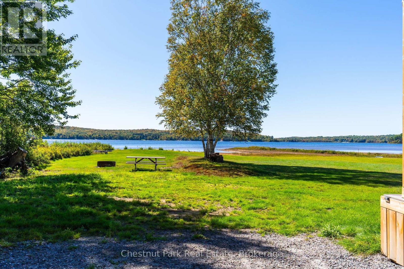 Waterfront lawn with a picnic table beneath a tree, overlooking a lake.