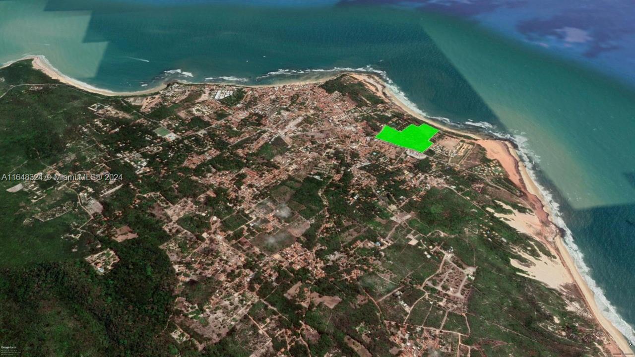 A11648324