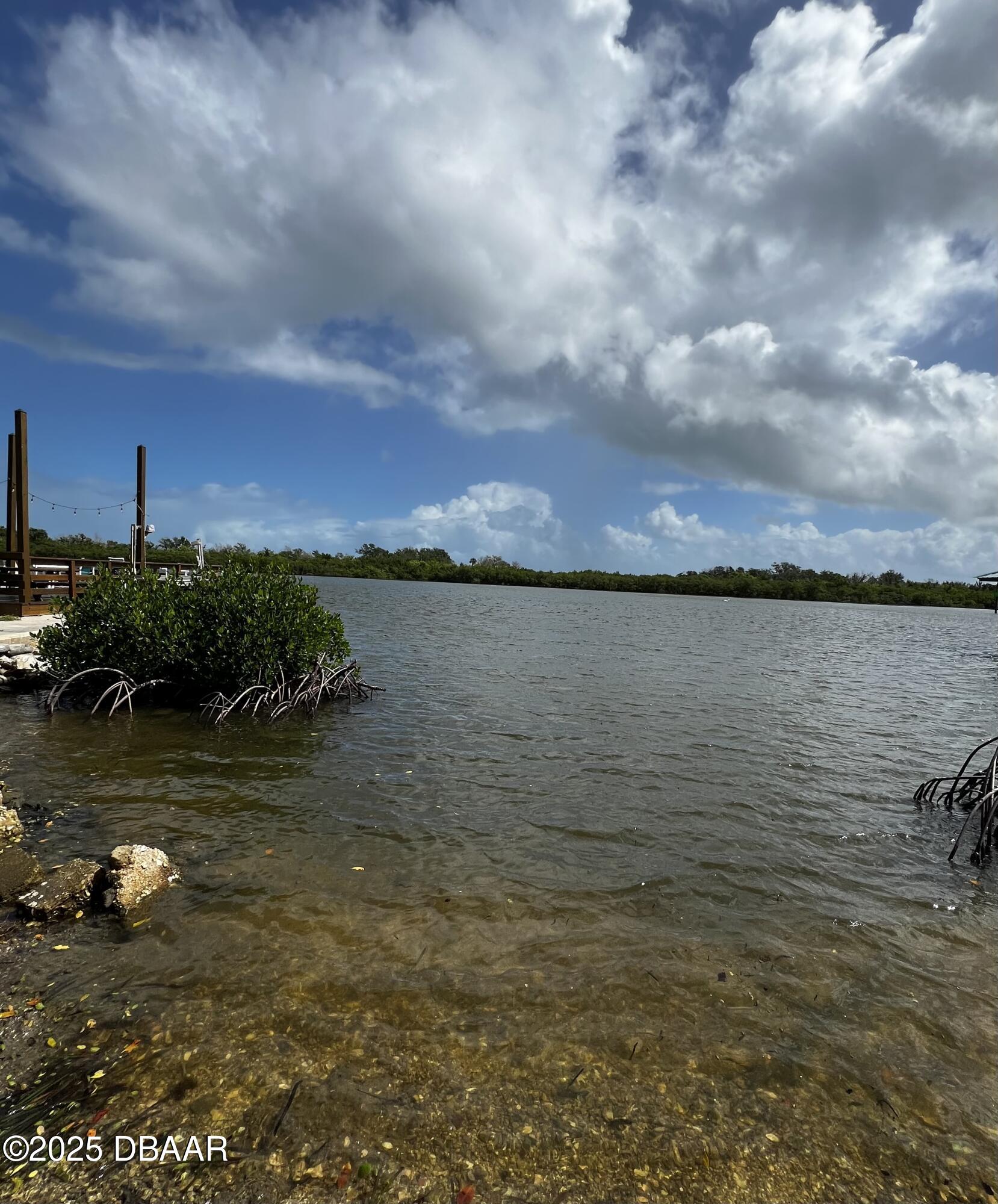 2201 S S. Ridgewood Avenue, 21