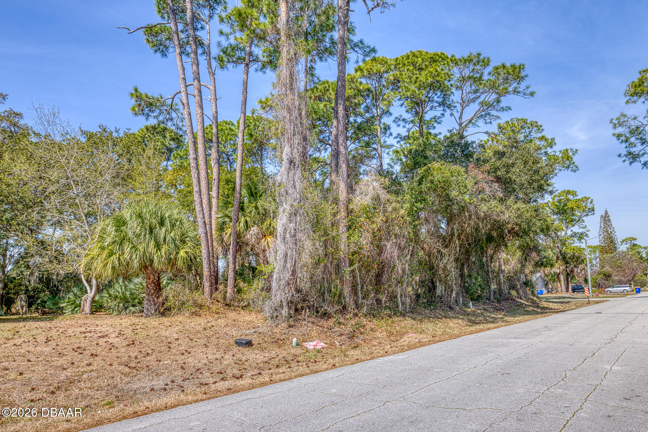 2904 India Palm Drive