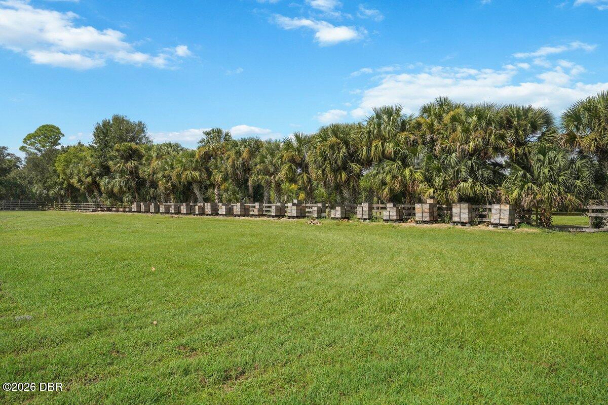743 Williams Road