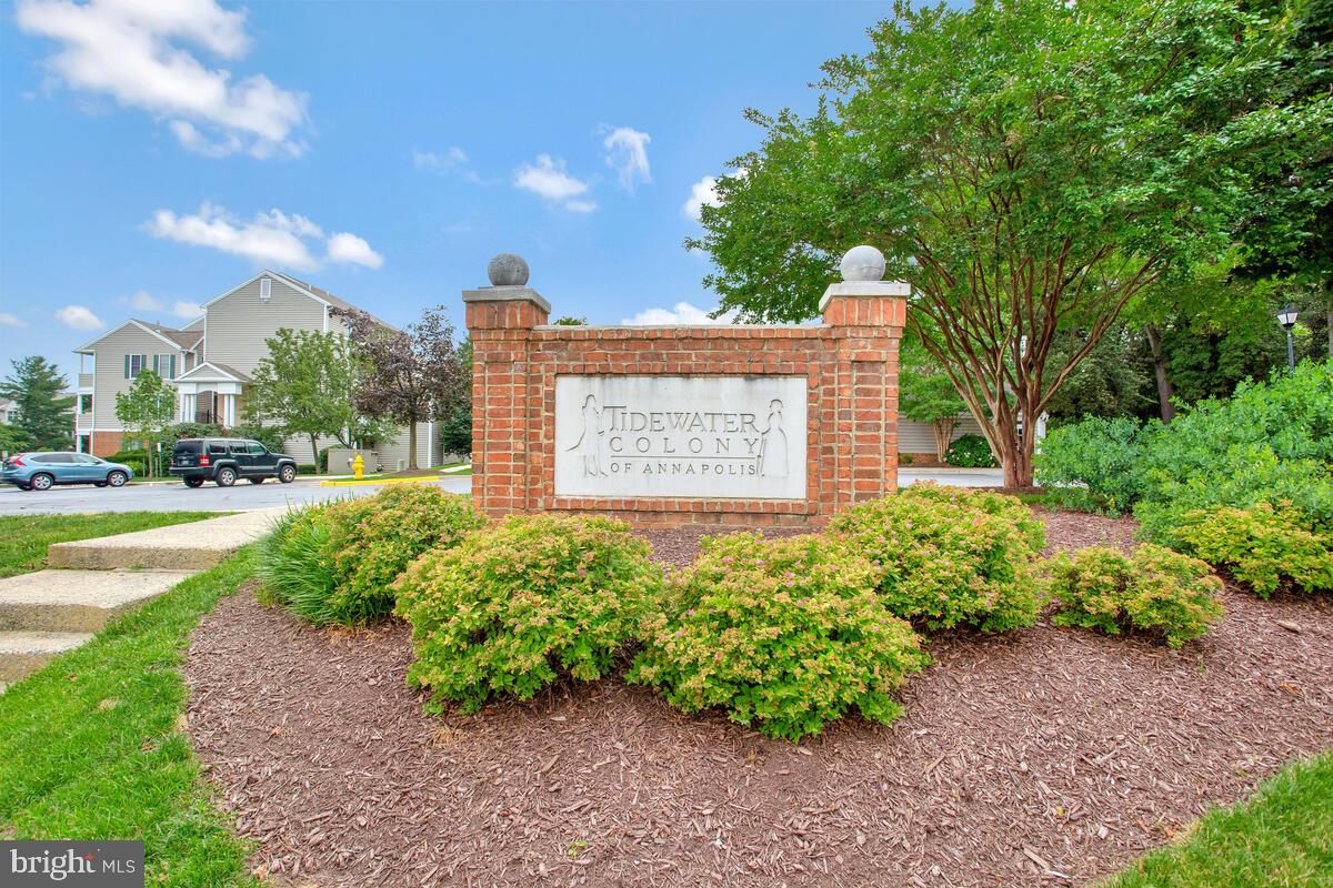 502 Mathias Hammond Way #206