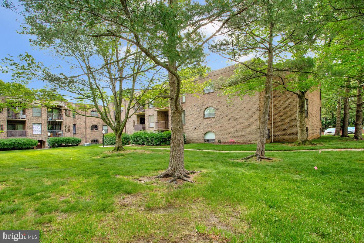 11 Silverwood Cir #4