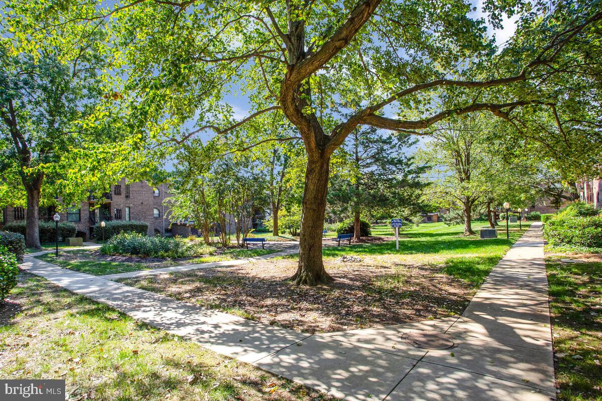 1 Silverwood Cir #10