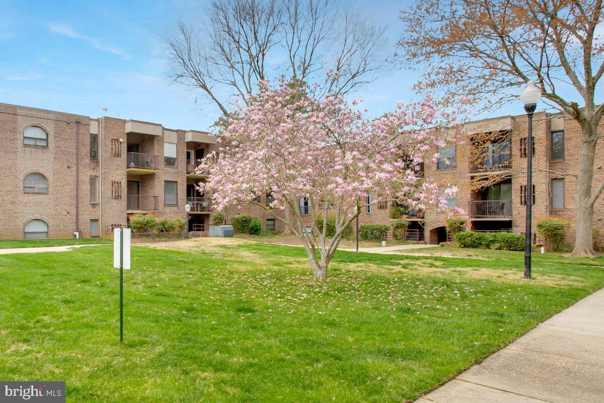 15 Silverwood Cir #11