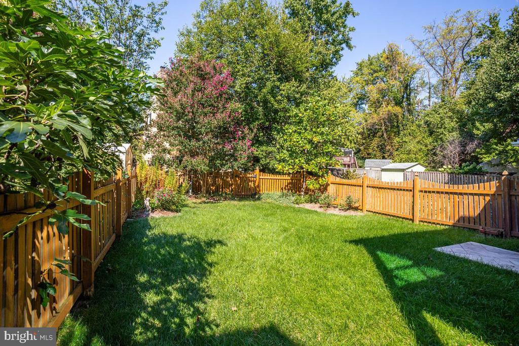 Fenced backyard with a broad green lawn, flowering shrubs, and mature trees.