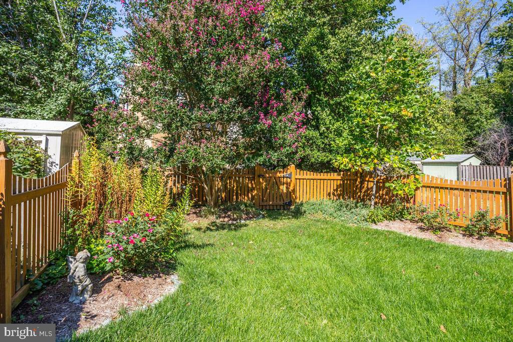 Fenced backyard with a green lawn, flowering trees, and garden beds.