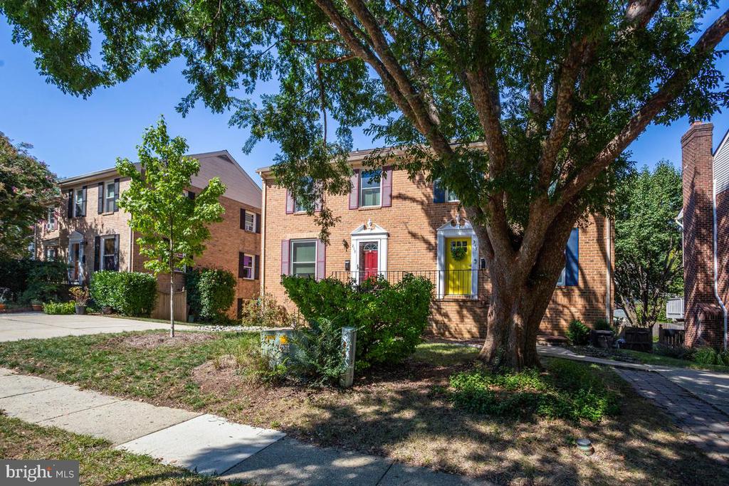 Brick townhome beneath a large shade tree, with red and yellow entry doors.