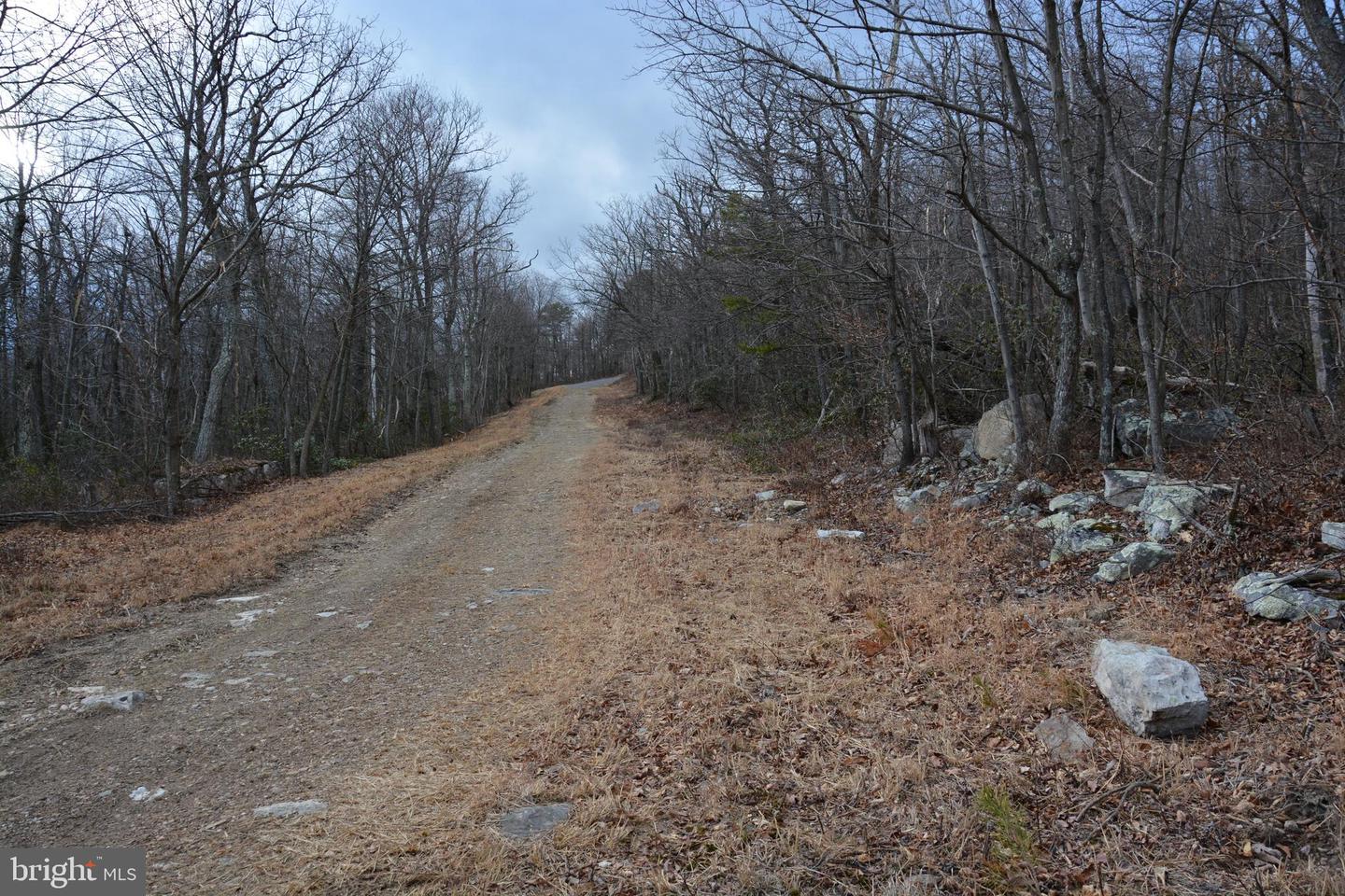 Rockwood Trl #Lot #185