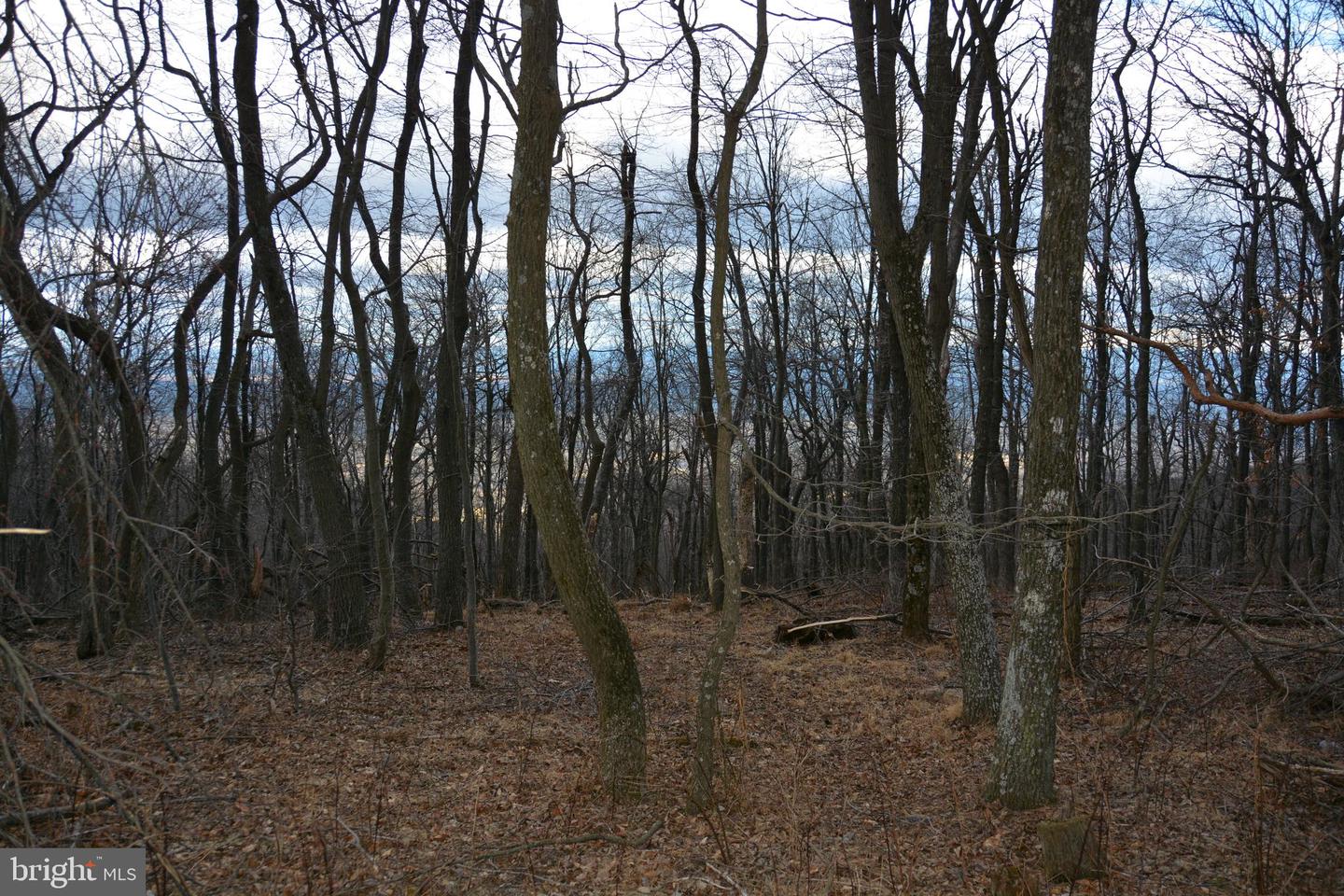 Rockwood Trl #Lot #185