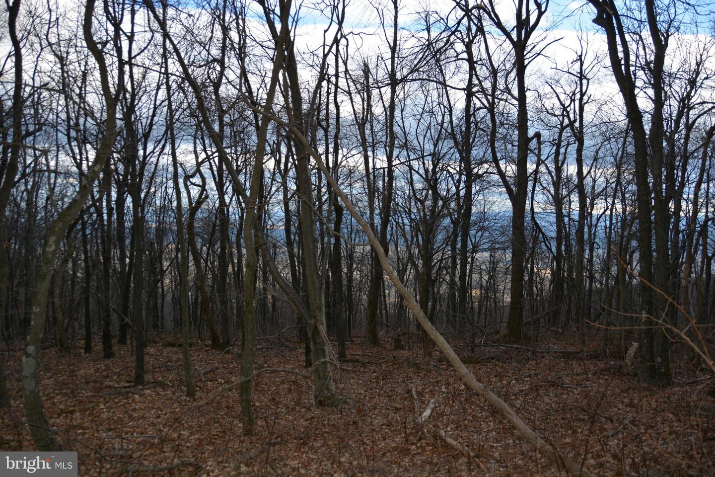 Rockwood Trl #Lot #185