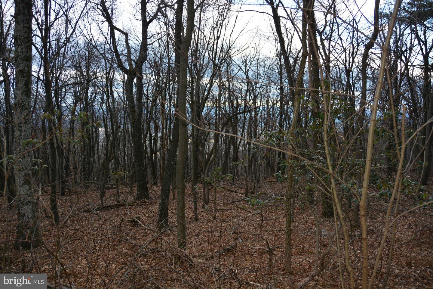 Rockwood Trl #Lot #185