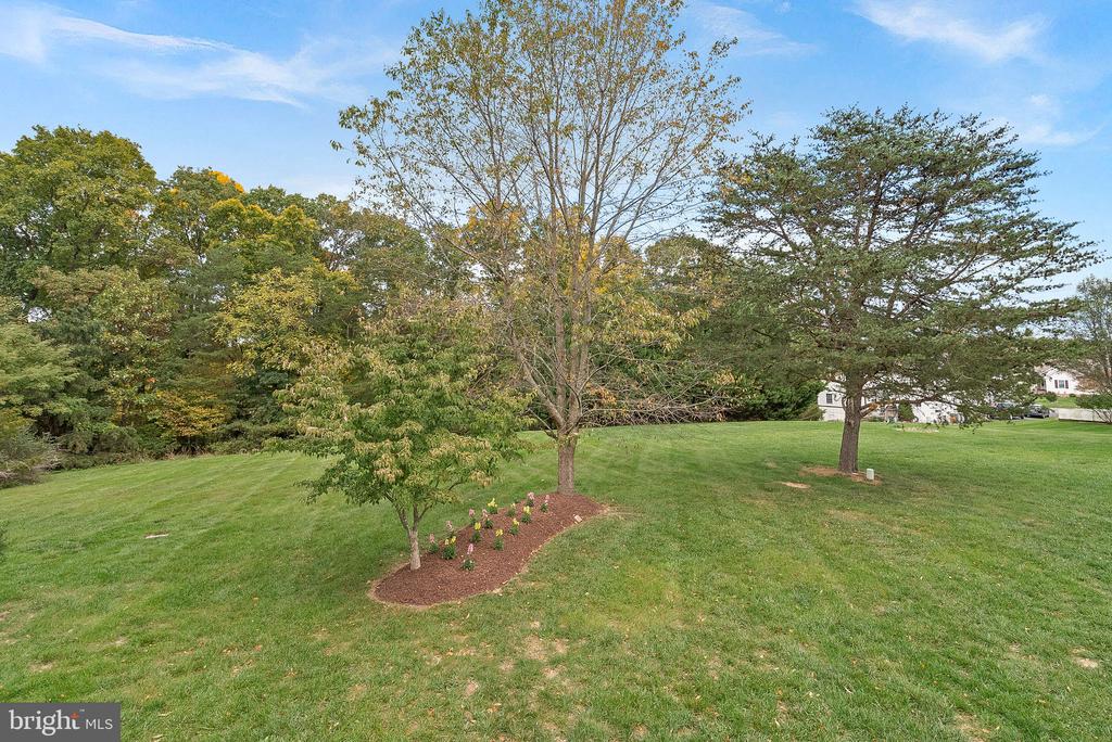 108 Whipp Dr