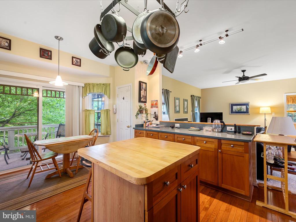101 Salvo Ct